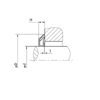img/anelli_di_tenuta_assiale_vrm-01-fkm_dis_test_.jpg