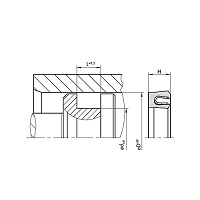 img/guarnizione_pistone_kna_44_ptfe_molla_v_inox_dis.jpg