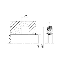 img/guarnizione_stelo_spor_131_ptfe_bronzo_or_nbr_dis_.jpg